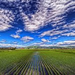 Home Shopping (→<b>TOP</b> like Shopping)!...