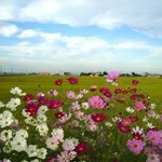 분배의 정의를 <b>실현</b>하라!!!!