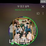 [워너원] 다니엘 최애들아 이러지 좀 말자