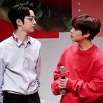 [조언부탁해] <b>장미</b>같은애 특징이 뭐야?