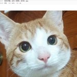 <b>레나</b> 대마초 ㅋㅋㅋㅋㅌ