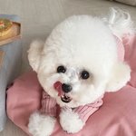 [댓글부탁해] 남친이 차놓고 만나서 얘기좀 <b>하재</b>