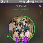 [강다니엘] 냥집사모먼트 (feat.고먐미인형)