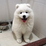 예쁘다고하는것도 <b>여혐</b>이야?