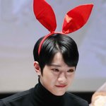 [조언부탁해] <b>장미</b>/벚꽃같이 생긴게뭐야??