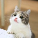 요즘 힘든 애들아 들어와봐!