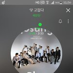 [세븐틴] 와 <b>순영</b>이 이 움짤 대박이다