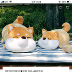 [ㅋㅋㅋㅋㅋ] 오빠가 시바견 <b>인형</b>사줬드
