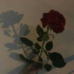 [댓글부탁해] 오늘 <b>버스타</b>는꿈 꿨는데