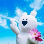 마스카라 추반 좀