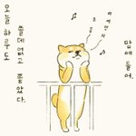 [드루와] <b>뷰러</b> 추천