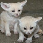 [드루와] 제발 머리좀 감아라...