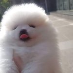 부르기어렵고 고음 ㅈㄴ많은 노래추천좀ㅎㅎㅎㅎㅜㅜ