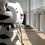 근친교배로 태어난 <b>수호</b>랑