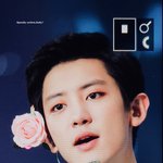 [EXO] 와 미쳤니 ¿ 이거 안본 사람이랑 <b>대화</b> 안함