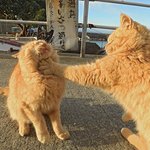 [댓글부탁해] 효리네<b>민박</b> 아까 그곡뭐임?