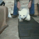 <b>장애</b>인이라고 다 착한것도 아님