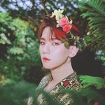 [EXO] 야 배경 이거 <b>오짐</b> ㄹㅇ