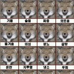 [드루와] 예뻐서 <b>맥북</b>산사람 있어?