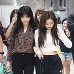 트레이닝바지 추천둄