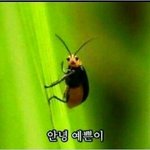 폰 배그 <b>존</b><b>잼</b>이야