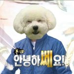 [EXO] 야 너네 이거봄? ㅋㅋㅋㅋㅋㅋㄱㅋㄱㅋㄱㅋㄱ개웃겨