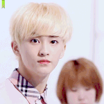 [NCT] 마크 이 랩 개발림