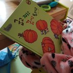 탄탄<b>전집</b> 요리조리 내용이 정말 탄탄하네요