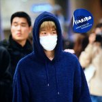 [백현] <b>입국</b>백현이 곰돌이 그 자체