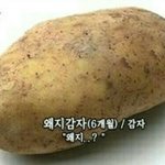 [댓글부탁해] 나만 이런거 못참음?