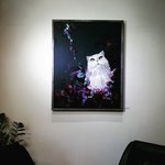 [<b>movie</b>] 고양이의 삶