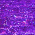 이런거있는사람?