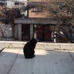 [추반] 얘들아 제발 추반좀 복받을거야