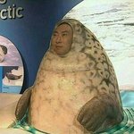 내 무식함 널리널리 퍼뜨리깅~