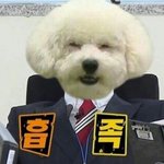 [엑톡걸즈] 난 메인 <b>댄서</b>다