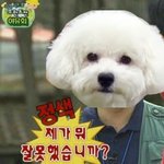 [엑톡걸즈] 야 포지션 <b>정해</b>