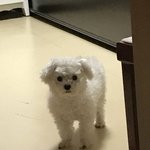 [EXO] 얘 <b>푸름</b>이냐..?