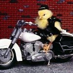 [엑<b>톡</b>걸즈] 노네 지금 연습안하고 <b>모</b>헤