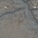 [NCT] 스위치ㅇㅇ