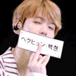 [백현] 일본 팬미 백현이 <b>gif</b> 3