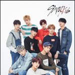 [스키즈] 스트레이키즈 잠뱅이 <b>모델</b>되었대
