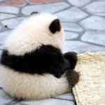 <b>동양</b>분위기vs서양분위기 추반