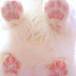 [댓글부탁해] 원래 쌍수 2<b>일치</b>가 제일 붓기 심하지?