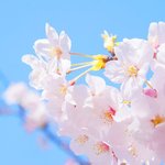 [댓글부탁해] 나 화장품좀 추천해줄수있어?ㅜ