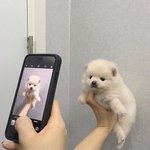 [댓글부탁해] 우리 웹드라마 추반하고 <b>가즈</b>아~~!!
