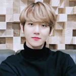 [EXO] 이 움짤 뭔가