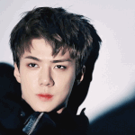 [EXO] 그로들아 온김에 존잘엑소보고가