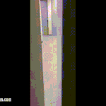 [EXO] 저번 쏘치 내림픽때 숙소에 <b>늑대</b> 출몰한거 앎?