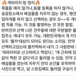 [19] 몰카 <b>합법</b>적으로 찍는 법 생긴대