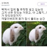 익명은 유지하되 쓰니가 썼던 글 <b>열람</b>할 수 있게 해줬으면 좋겠슴